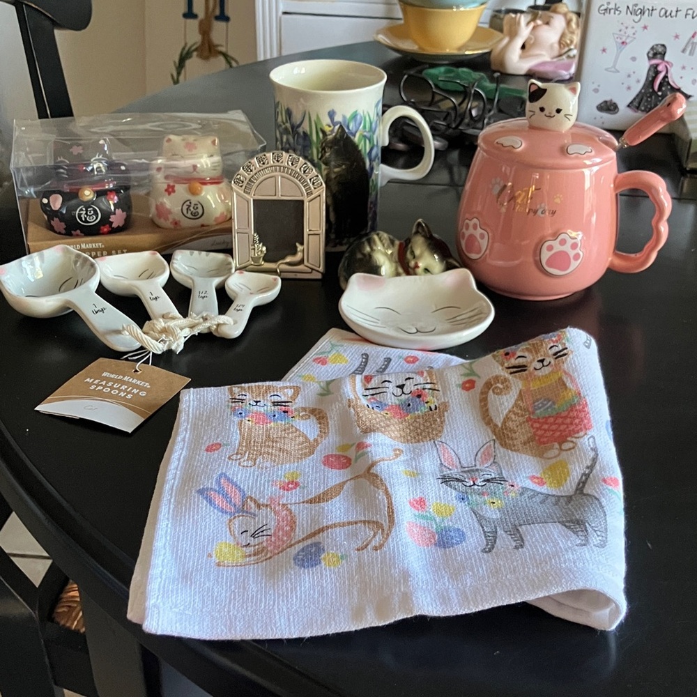 Cost Plus World Market Pink Cat Teapot Set